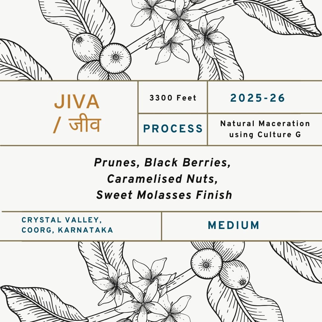 Jiva / जीव