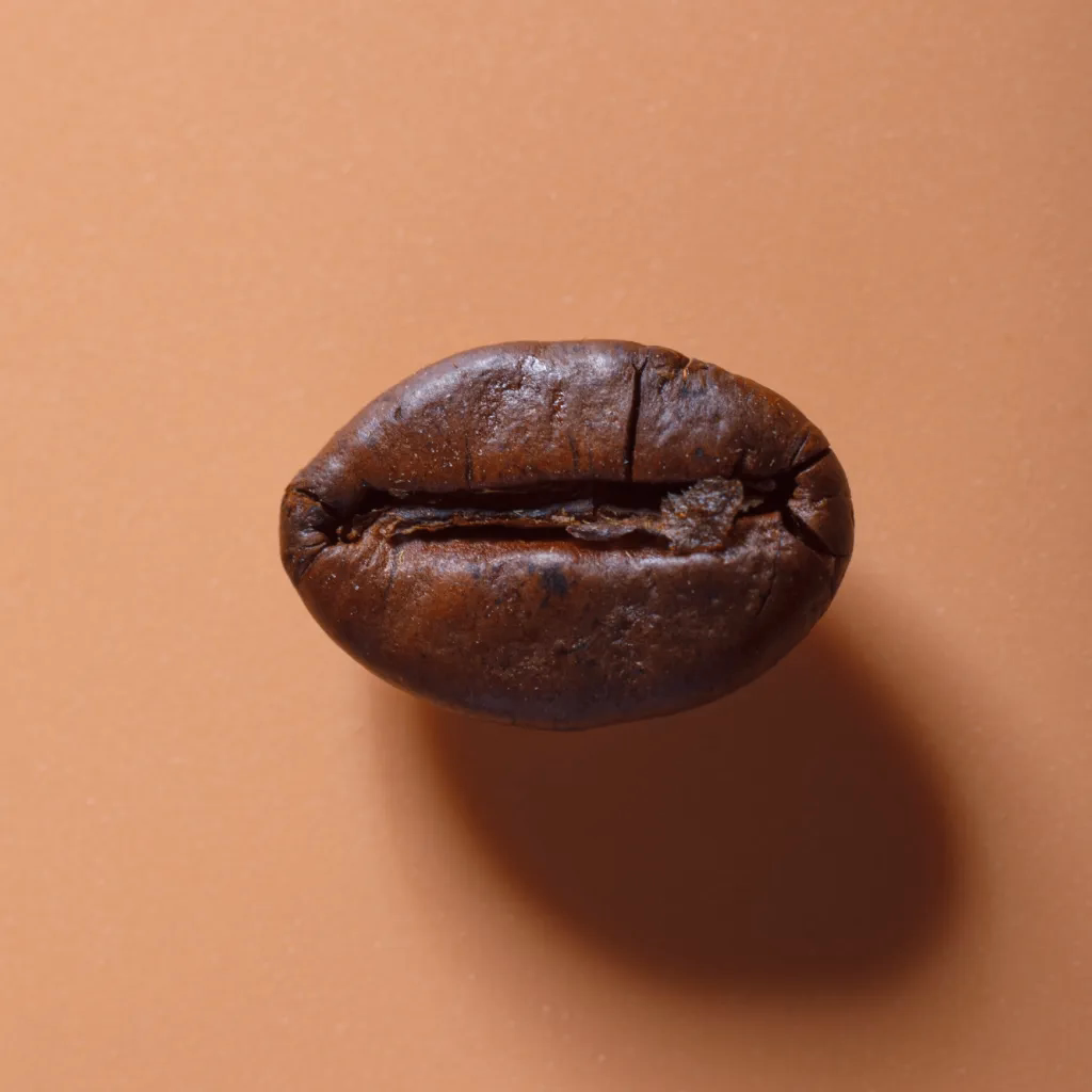 Liberica coffee bean