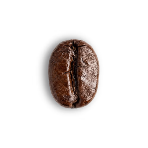 Dark roast coffee beans