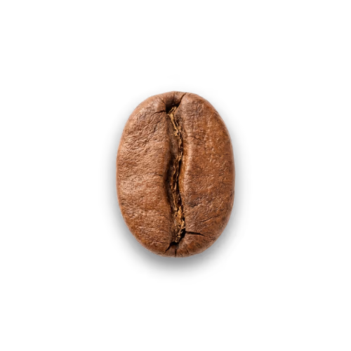 Light–Med roast coffee beans