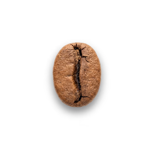 Light roast coffee beans