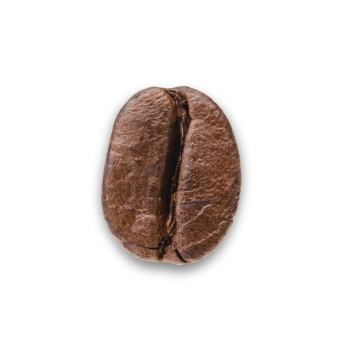 Med–Dark roast coffee beans