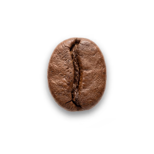 Medium roast coffee beans